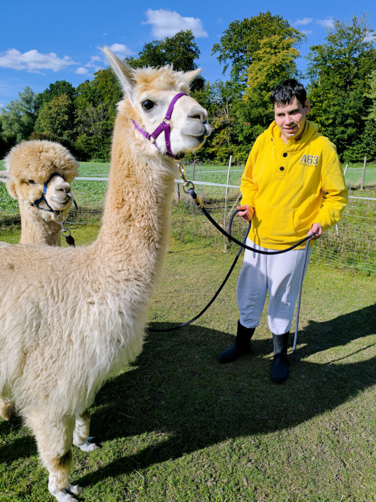 Inshot 20250924 221500792